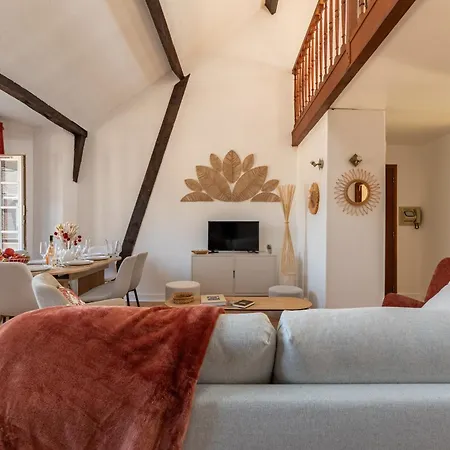 Duplex De Charme Dans Un Cloitre Historique Parking Prive * Ρουέν